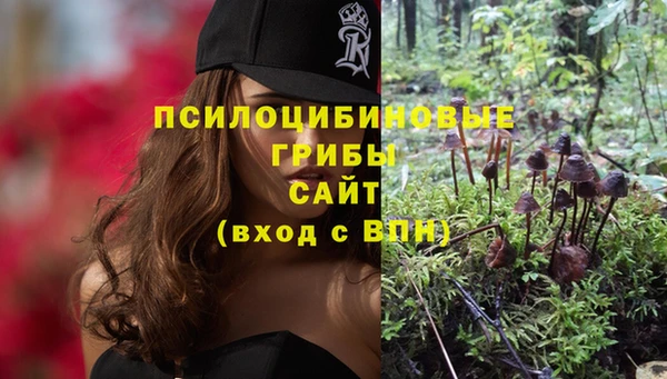 крисы Алексеевка