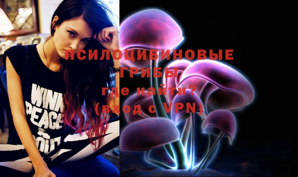 крисы Алексеевка
